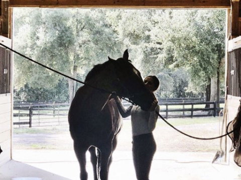 Waters Edge Stables, Professional equestrian facility, hunter/jumper specialty, full-service barn & facilities, horse boarding, riding lessons, horse shows, Grand Champions