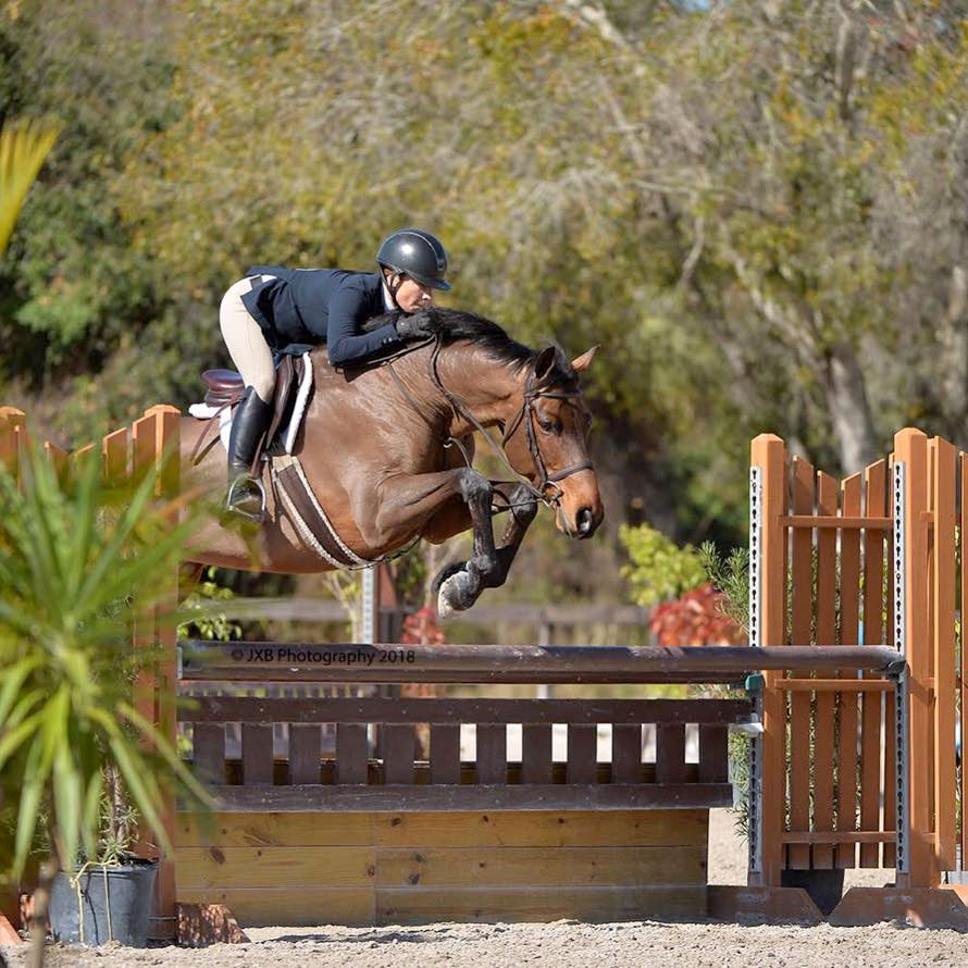 Waters Edge Stables, Professional equestrian facility, hunter/jumper specialty, full-service barn & facilities, horse boarding, riding lessons, horse shows, Jessica Cross