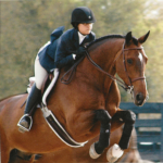Waters Edge Stables, Professional equestrian facility, hunter/jumper specialty, full-service barn & facilities, horse boarding, riding lessons, horse shows, ribbons, youth competition