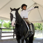 Waters Edge Stables, Professional equestrian facility, hunter/jumper specialty, full-service barn & facilities, horse boarding, riding lessons, horse shows